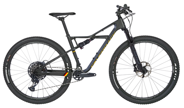 Silverback dual suspension online