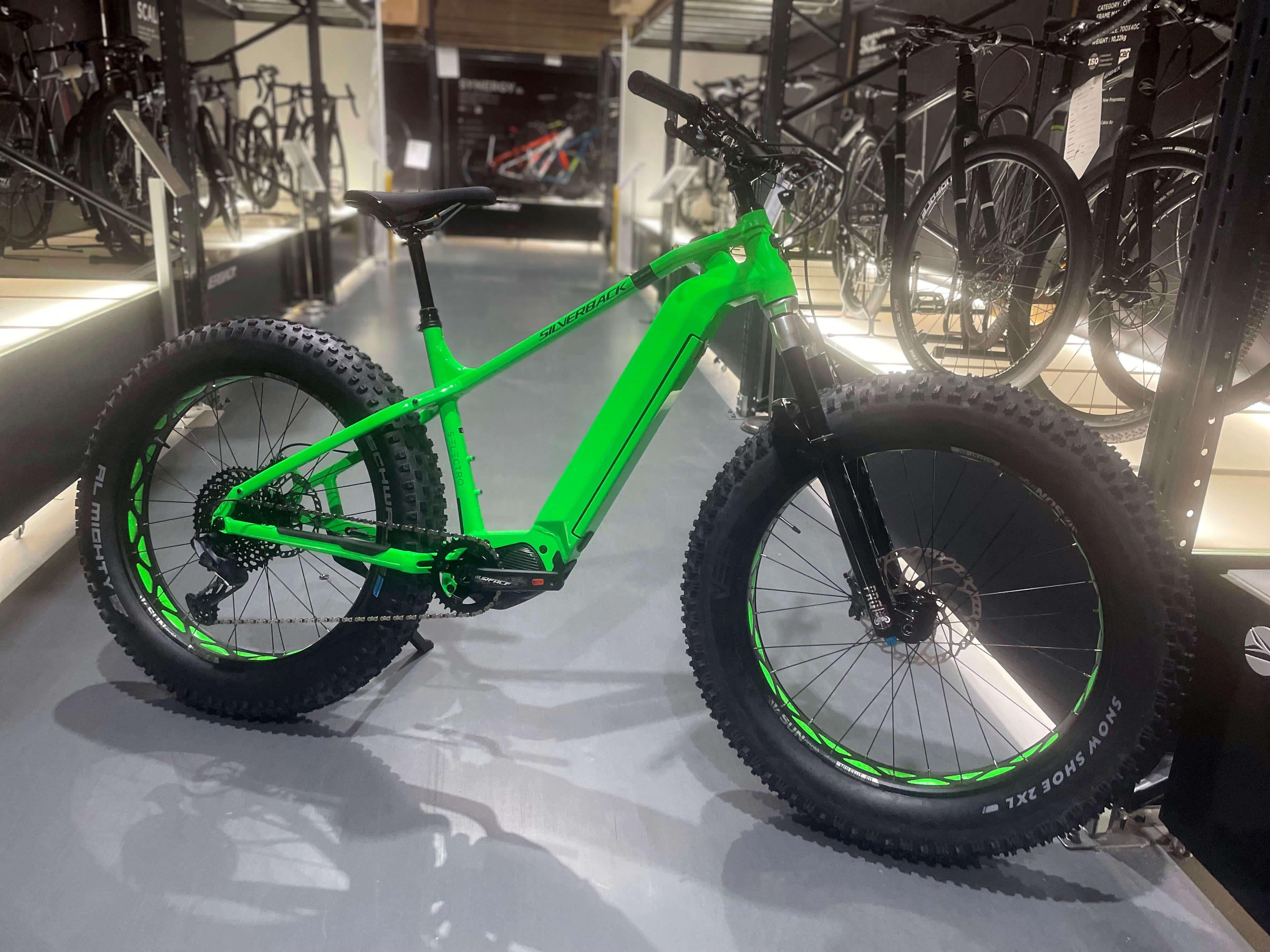 Recent Customer Dreambikes
