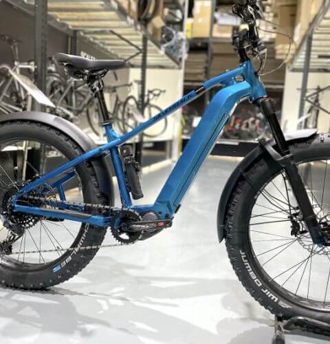 Recent Customer Dreambikes