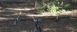 Surface Carbon Riser Bar
