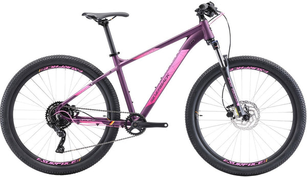 Silverback mountain sale bike for sale