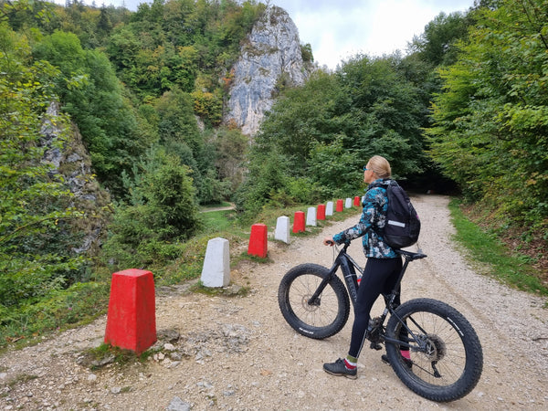 Where Do I Find My Silverback Bike Serial Number?