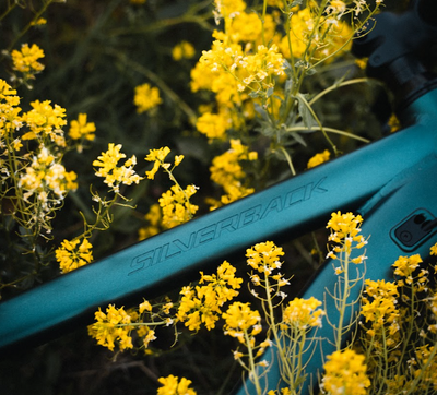Silverback Arrow logo on a bicycle — symbol of determination and forward momentum