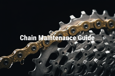 Close-up macro shot of a clean, freshly lubed MTB chain and cassette with golden oil droplets — Silverback Bikes Chain Maintenance Guide