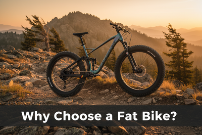 Fat bike parked on a rocky mountain trail at golden hour — Why Choose a Fat Bike?