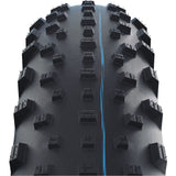 Schwalbe Reifen Jumbo Jim  Evo. 26 x 4.0, TLE 100-559,HS466