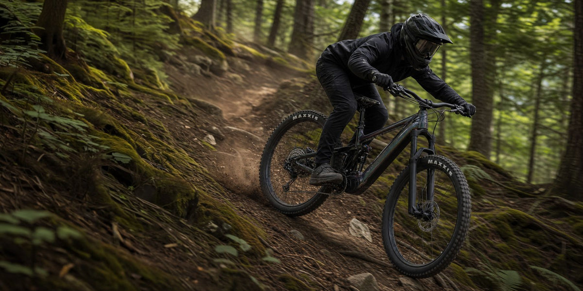 Electric / E-BIKES