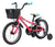 Kids Bikes Skid 16 Evolution