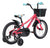 Kids Bikes Skid 16 Evolution