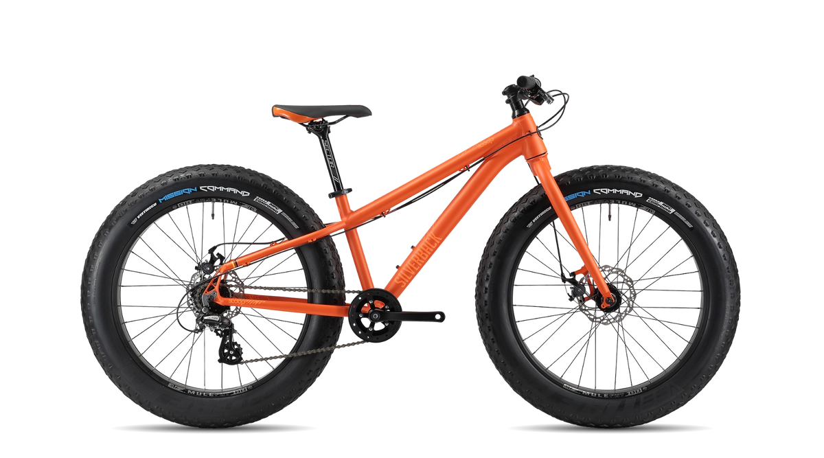 SE Series Fat 24 (Fatbike) 1