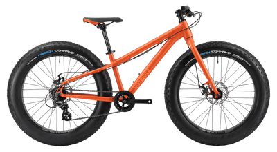 bike summary