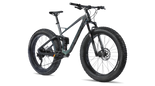 Silverback Synergy Fat: High-Performance Carbon Fat Bike 2