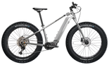 S-Electro Diamond Fat Sport 1