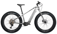 S-Electro Diamond Fat Sport 1