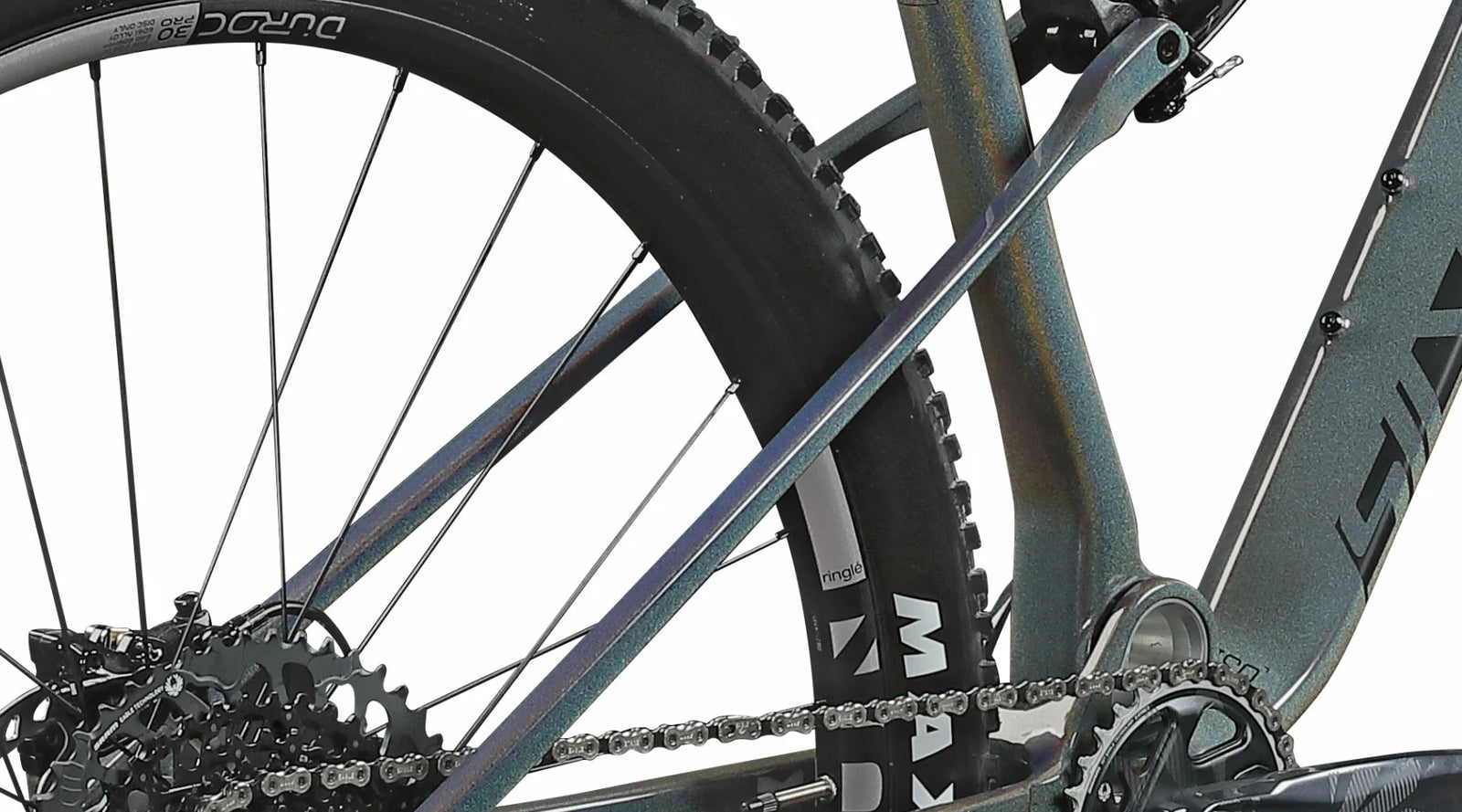 Silverback CF SX 7