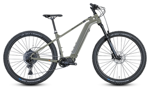SILVERBACK DIAMOND TRAIL