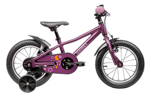 Skid 14
