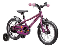 Skid 14 3