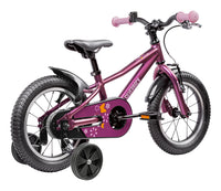 Skid 14 5
