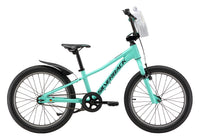 Skid 20 (Gen4) 4