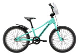 Skid 20 (Gen4)