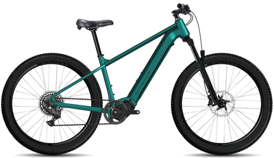 bike summary