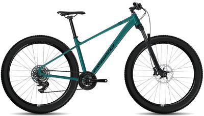 bike summary