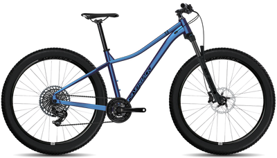 bike summary