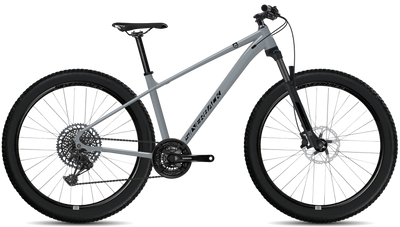 bike summary