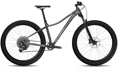 bike summary