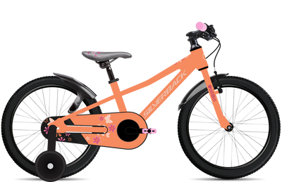 bike summary