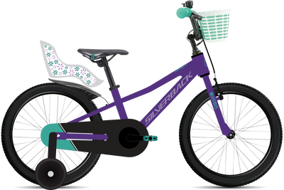 bike summary