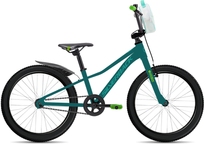 bike summary