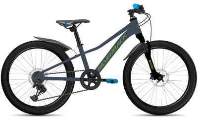 bike summary