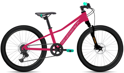bike summary