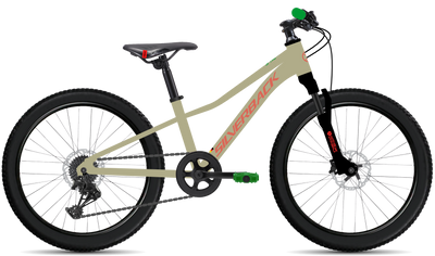 bike summary