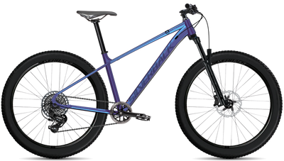 bike summary