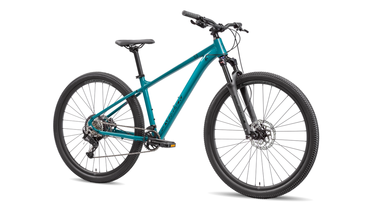 SE:Series 8 (new gen)