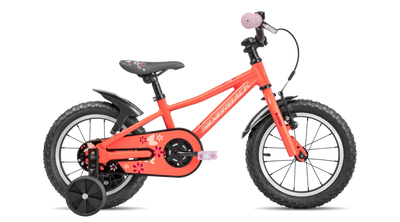 bike summary
