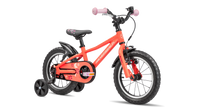 Skid 14 (New Gen) 5