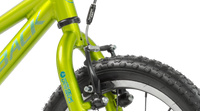 Skid 16 (New Gen) 18