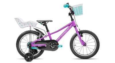 bike summary