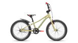 Skid 20 (New Gen) 1