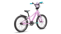 Skid 20 (New Gen) 11