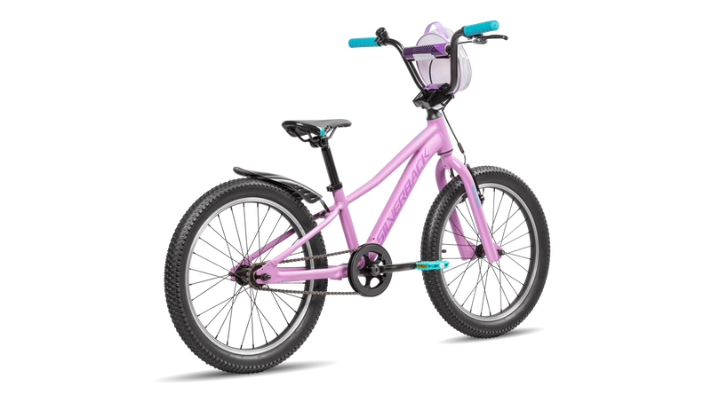 Skid 20 (New Gen)