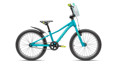 bike summary