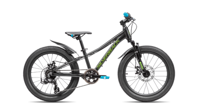 bike summary