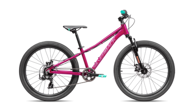 bike summary