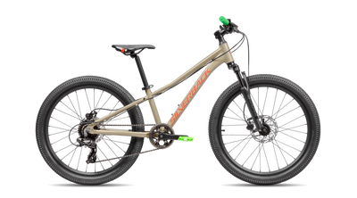 bike summary