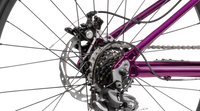 Spyke 26 7spd (New Gen) 6